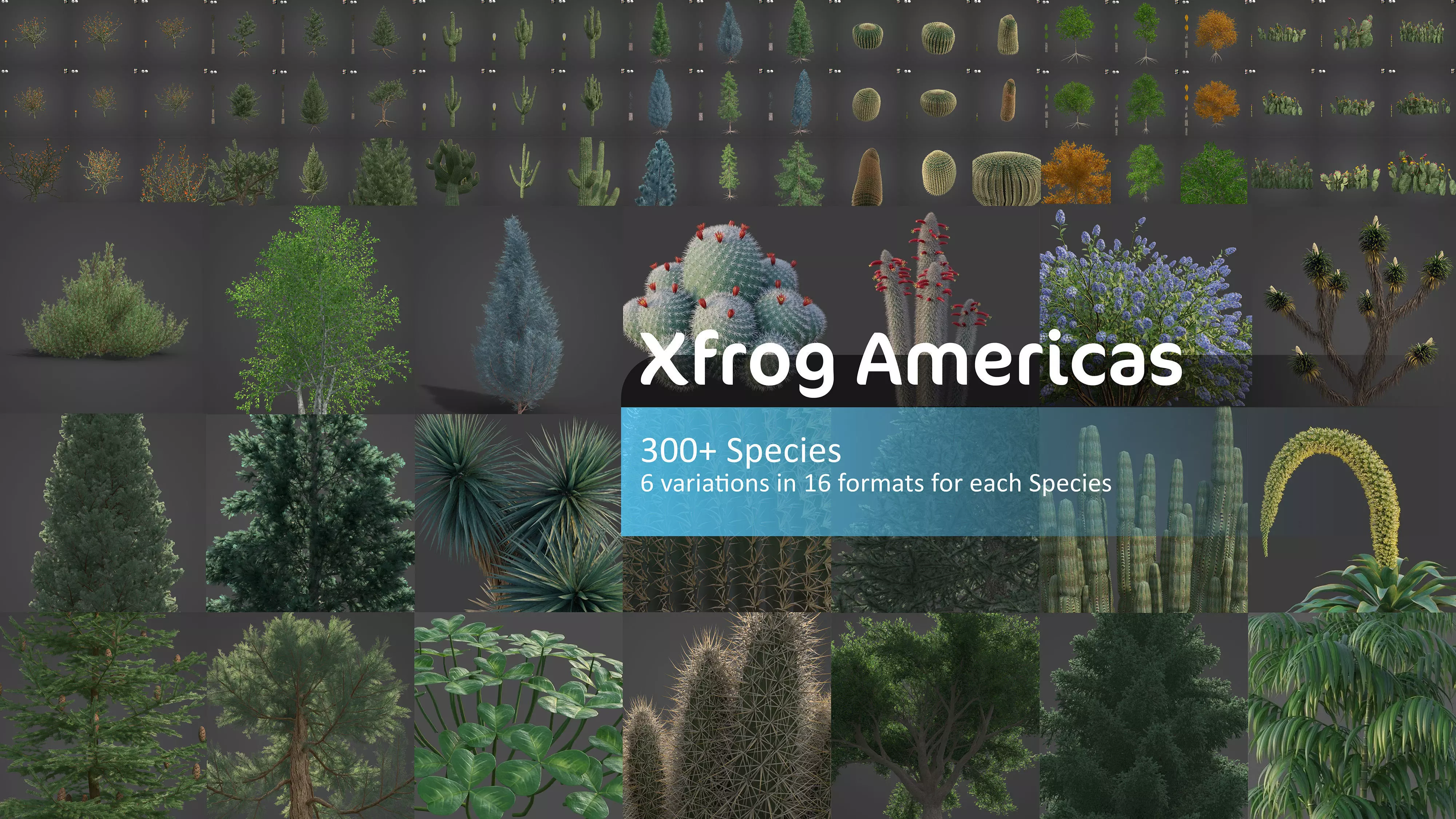 Xfrog Americas 3D Model Collection_0