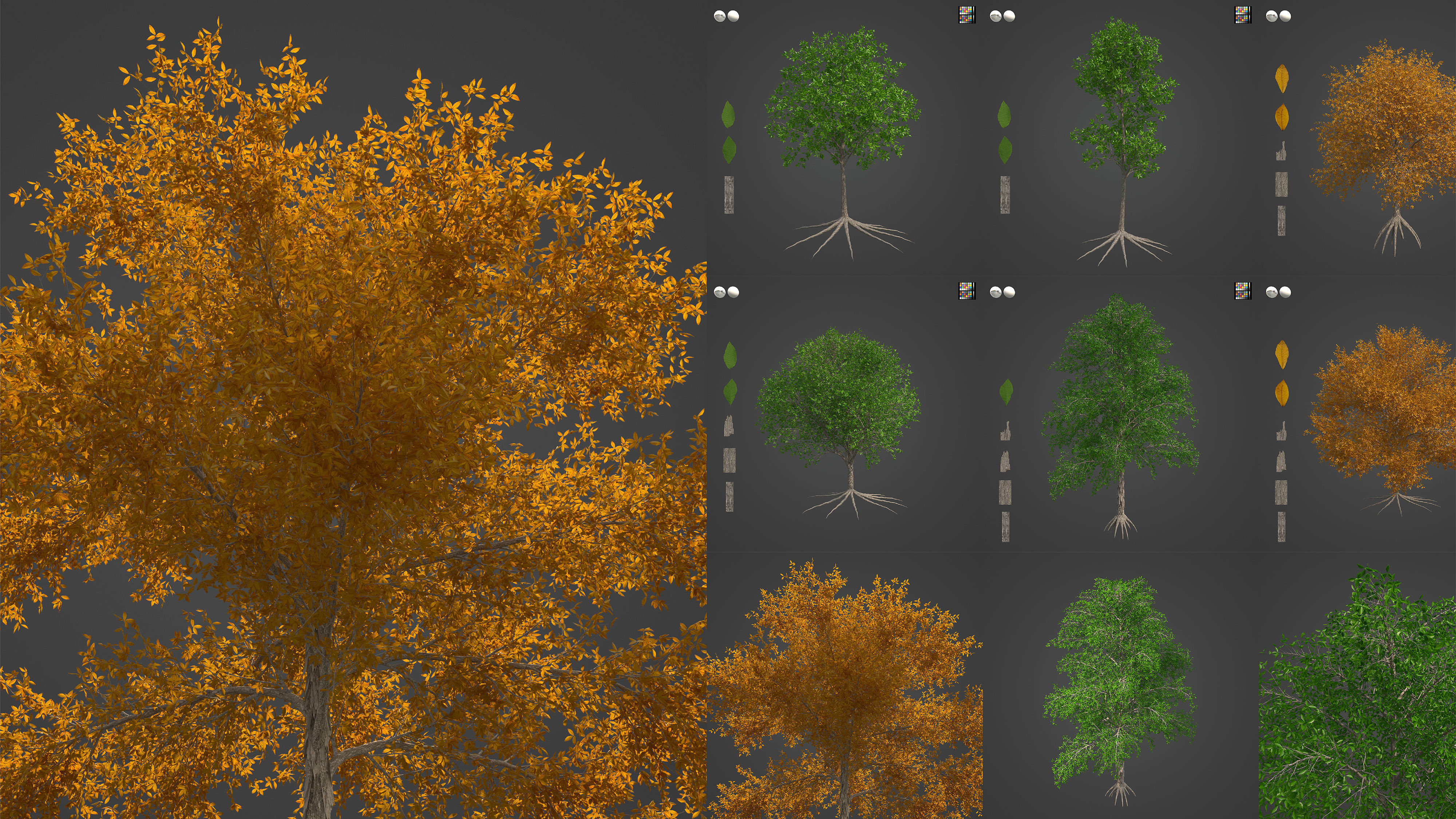 Xfrog Americas 3D Model Collection_5