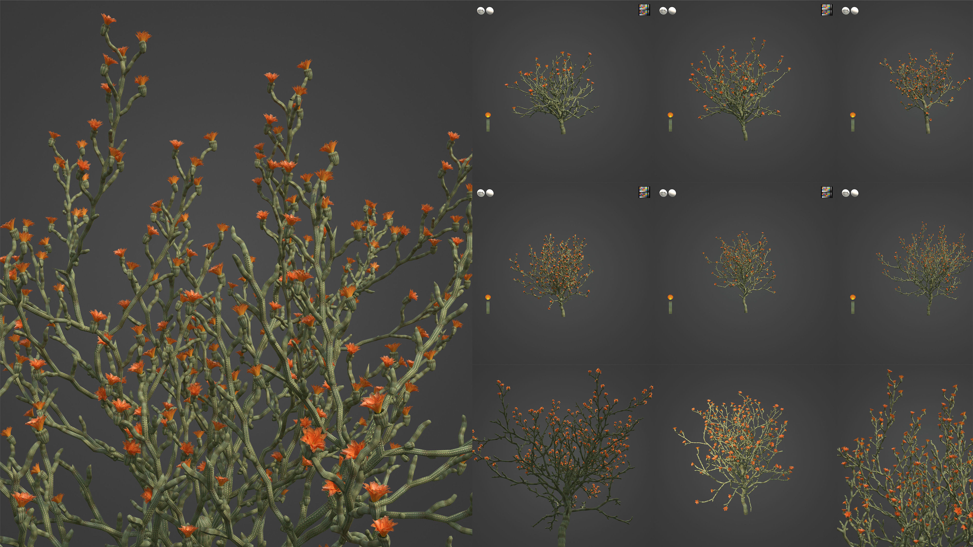 Xfrog Americas 3D Model Collection_10