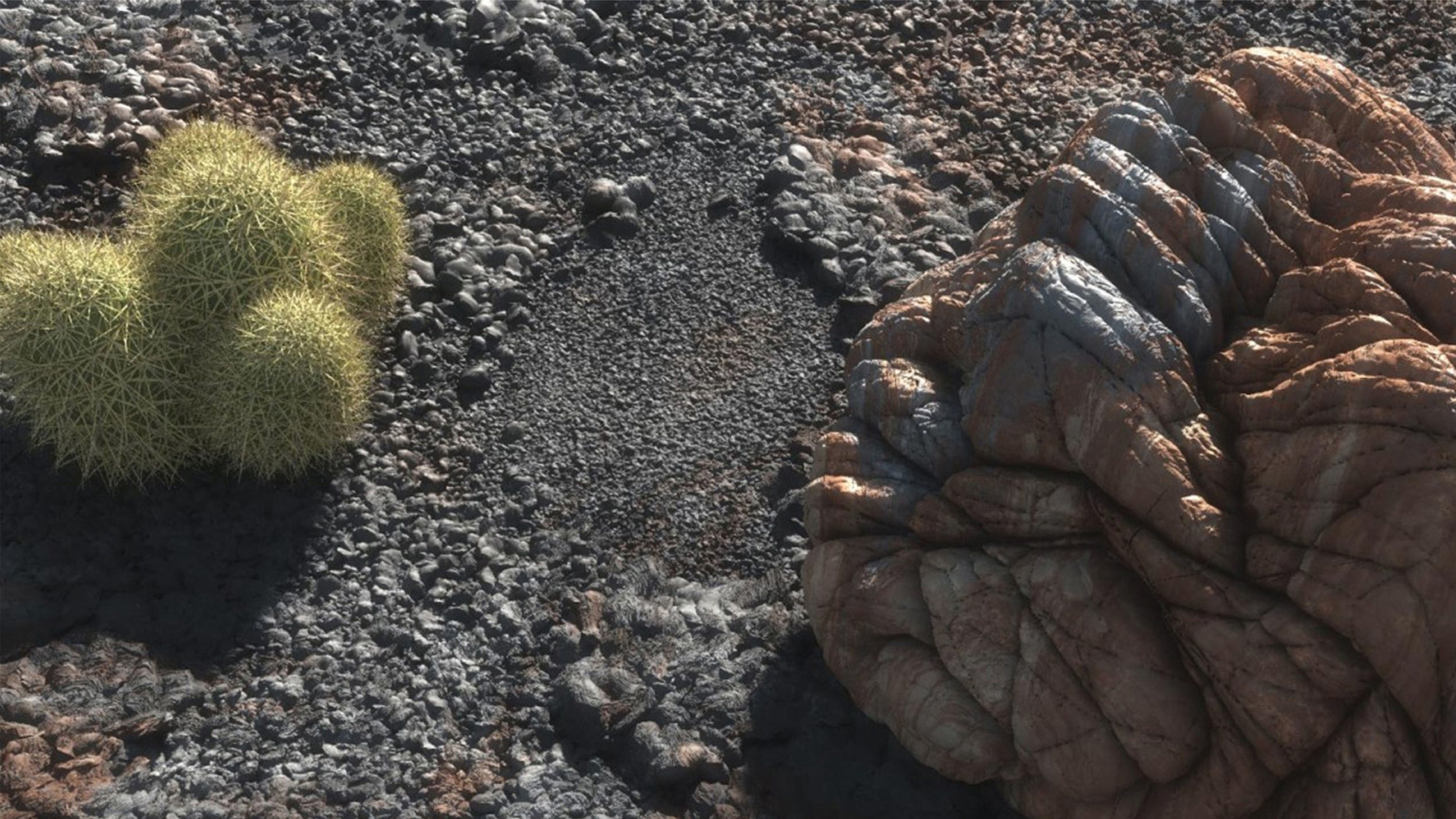 Xfrog Americas 3D Model Collection_13