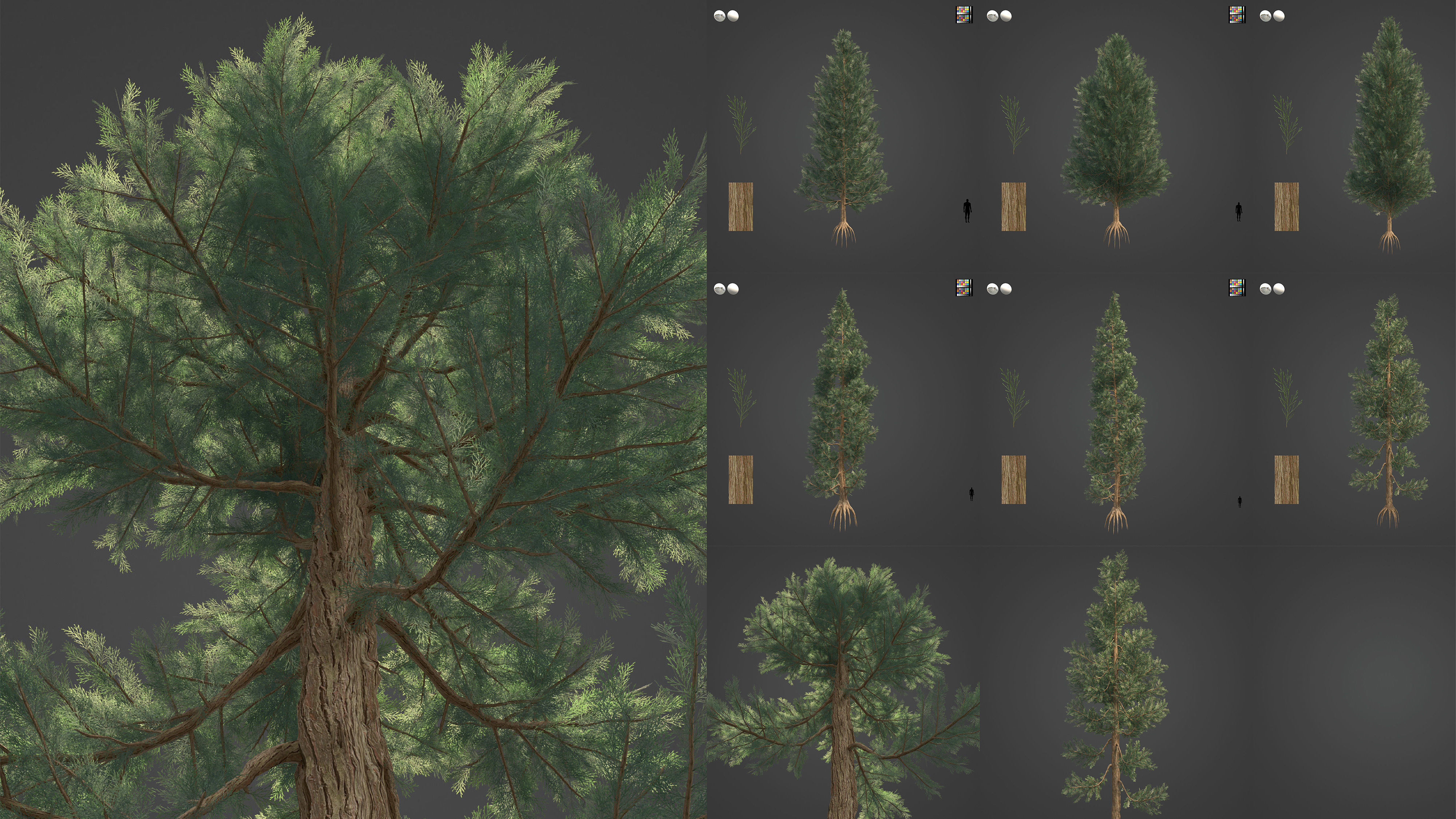 Xfrog Americas 3D Model Collection_3