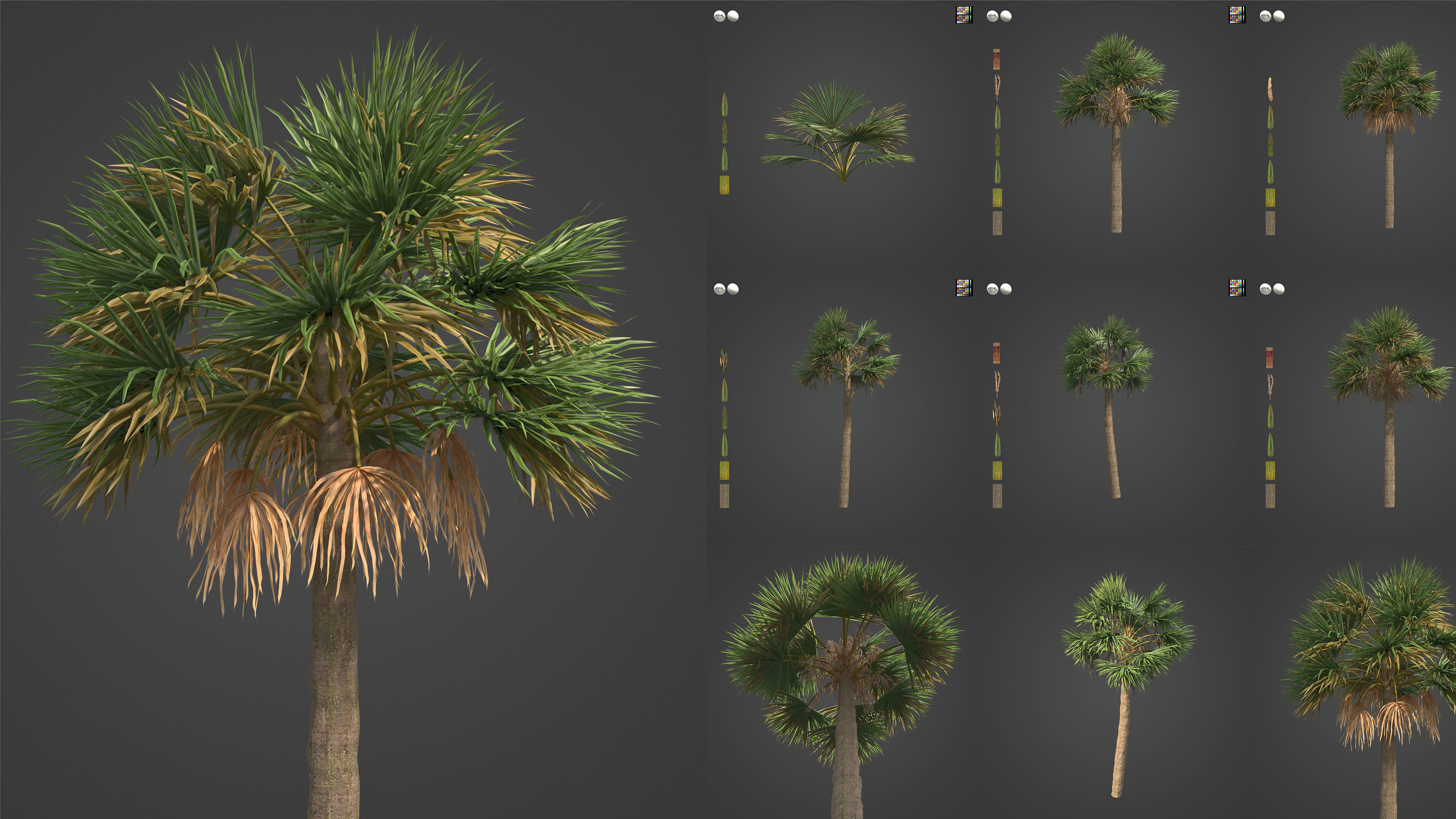 Xfrog Americas 3D Model Collection_11