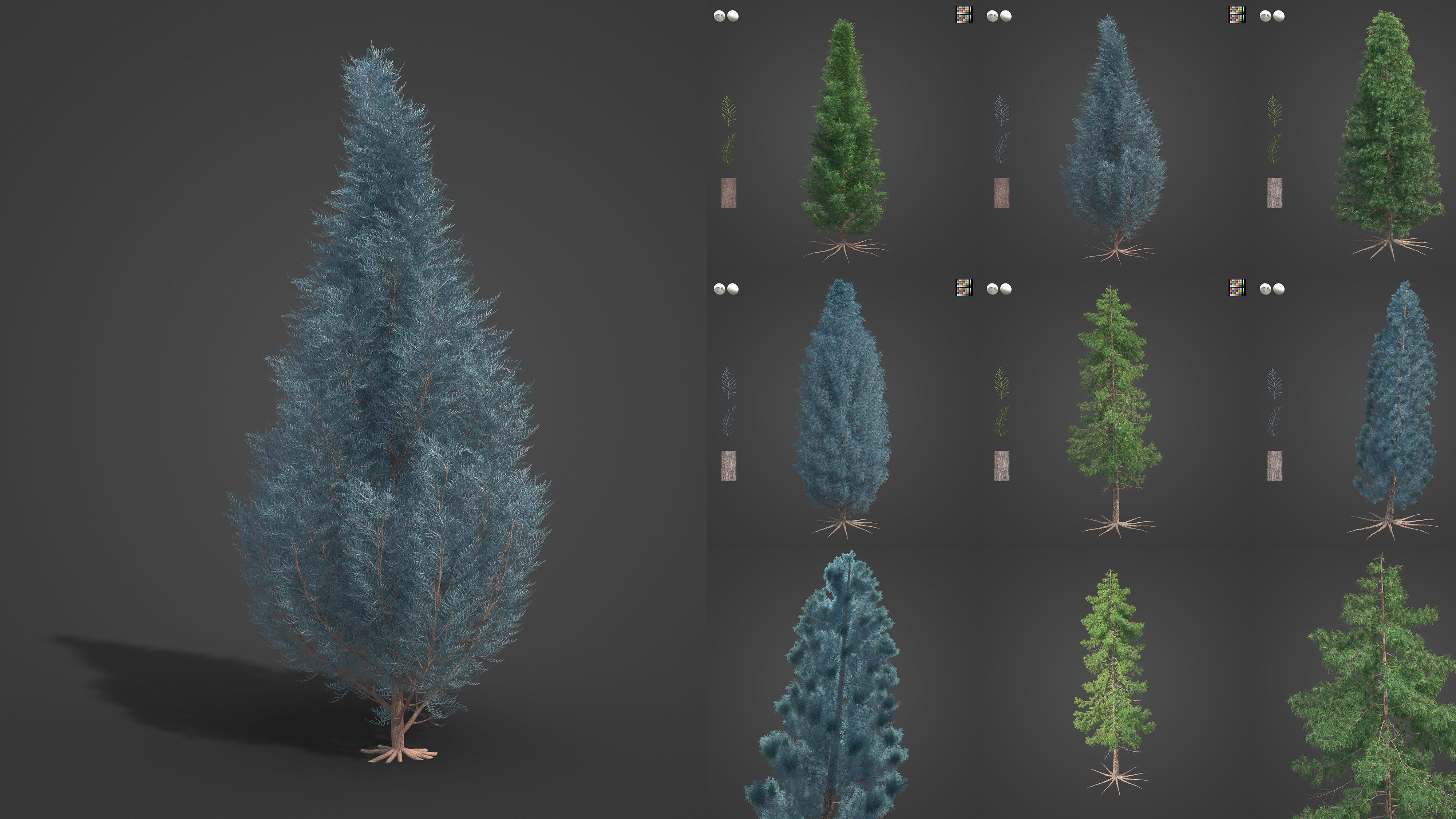 Xfrog Americas 3D Model Collection_2