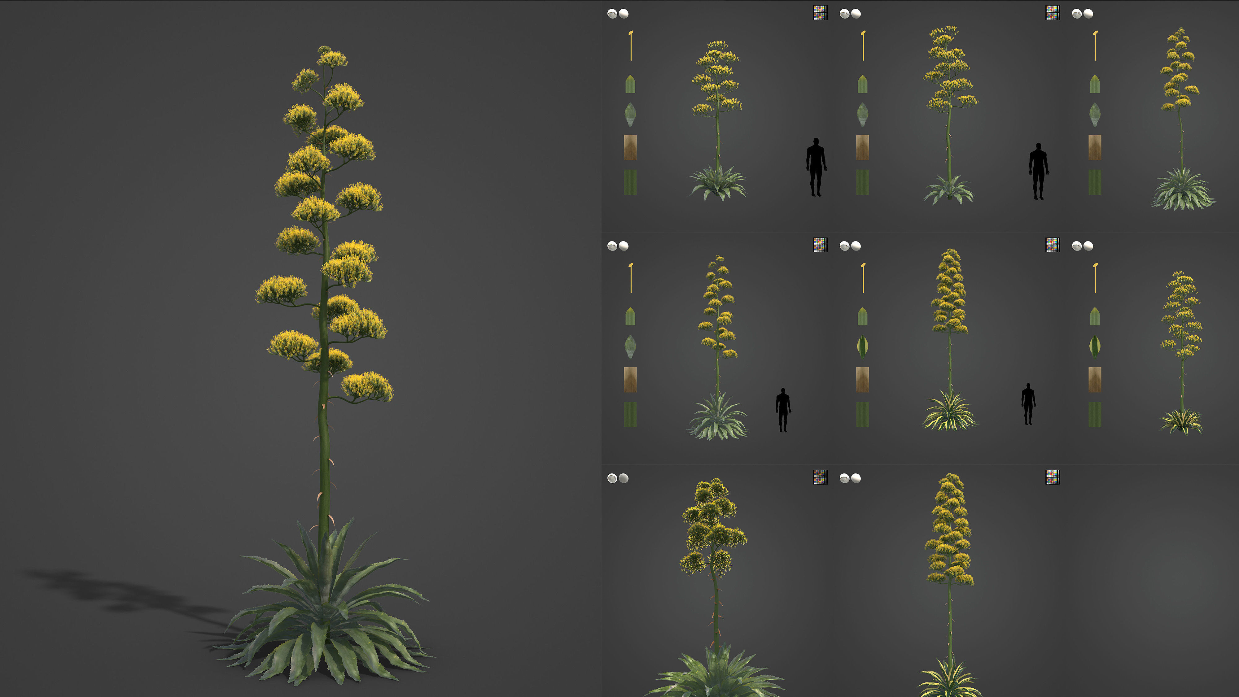 Xfrog Americas 3D Model Collection_7