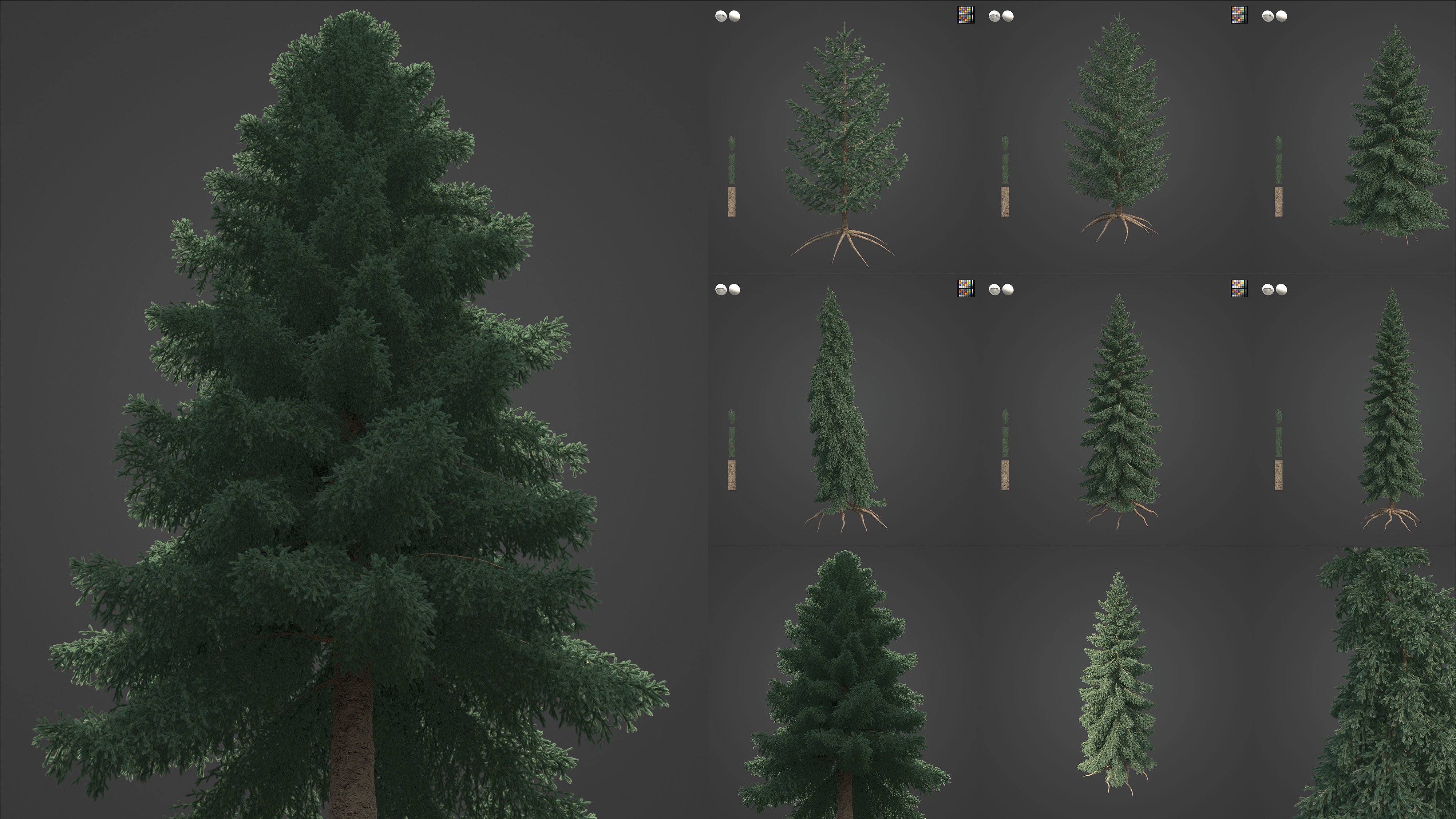 Xfrog Americas 3D Model Collection_9