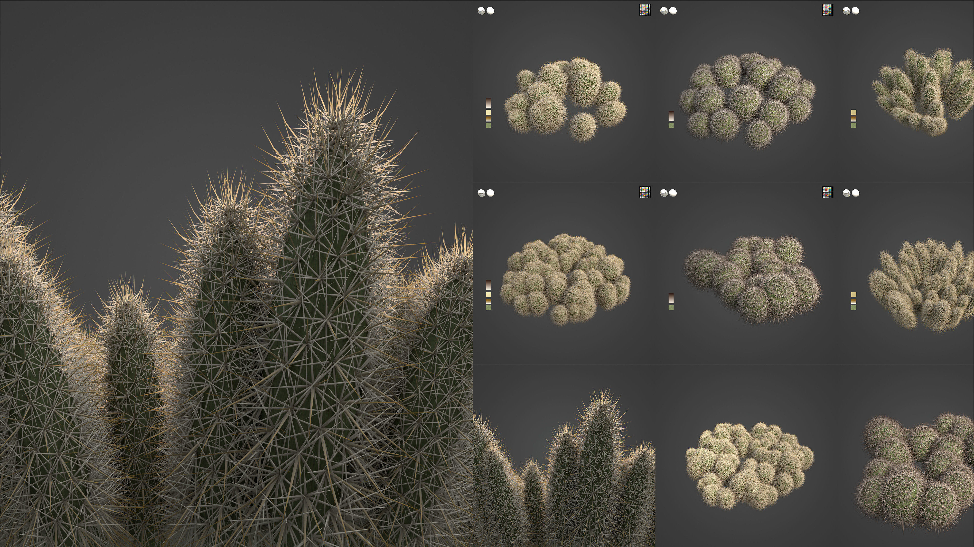 Xfrog Americas 3D Model Collection_8