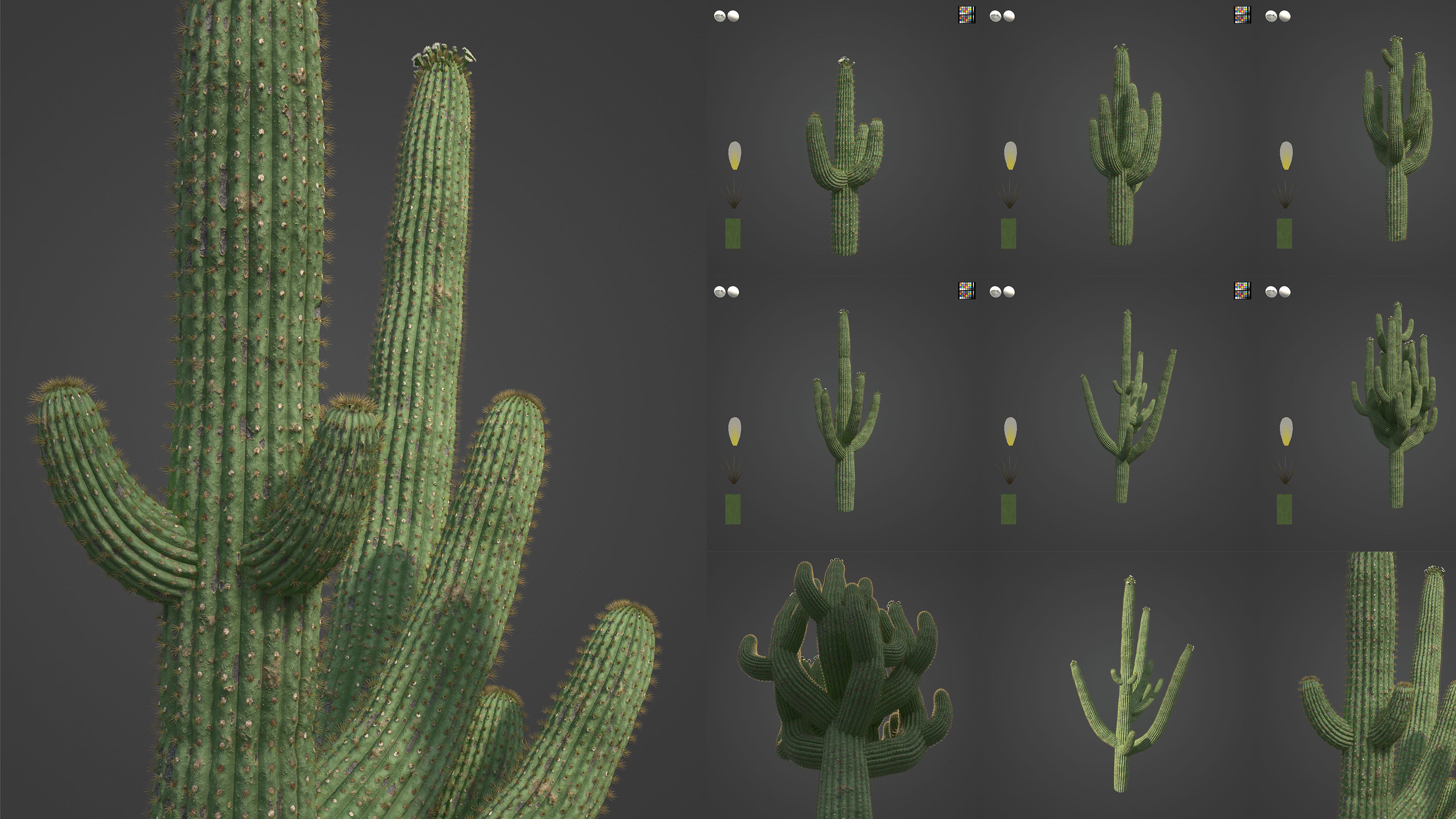 Xfrog Americas 3D Model Collection_6