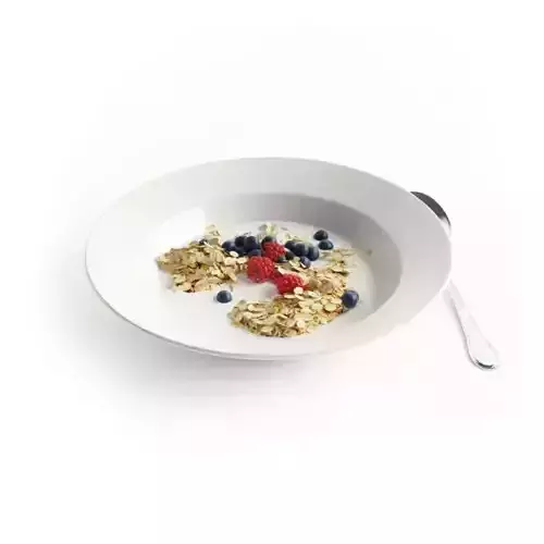 Whole Grain Fruit And Oat Cereal 3D model