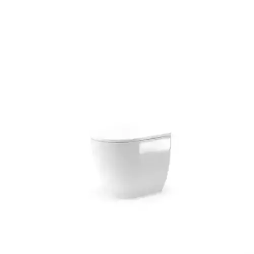 White Toilet Bowl 3D model
