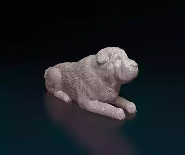 Shar pei bear dog 3D print model