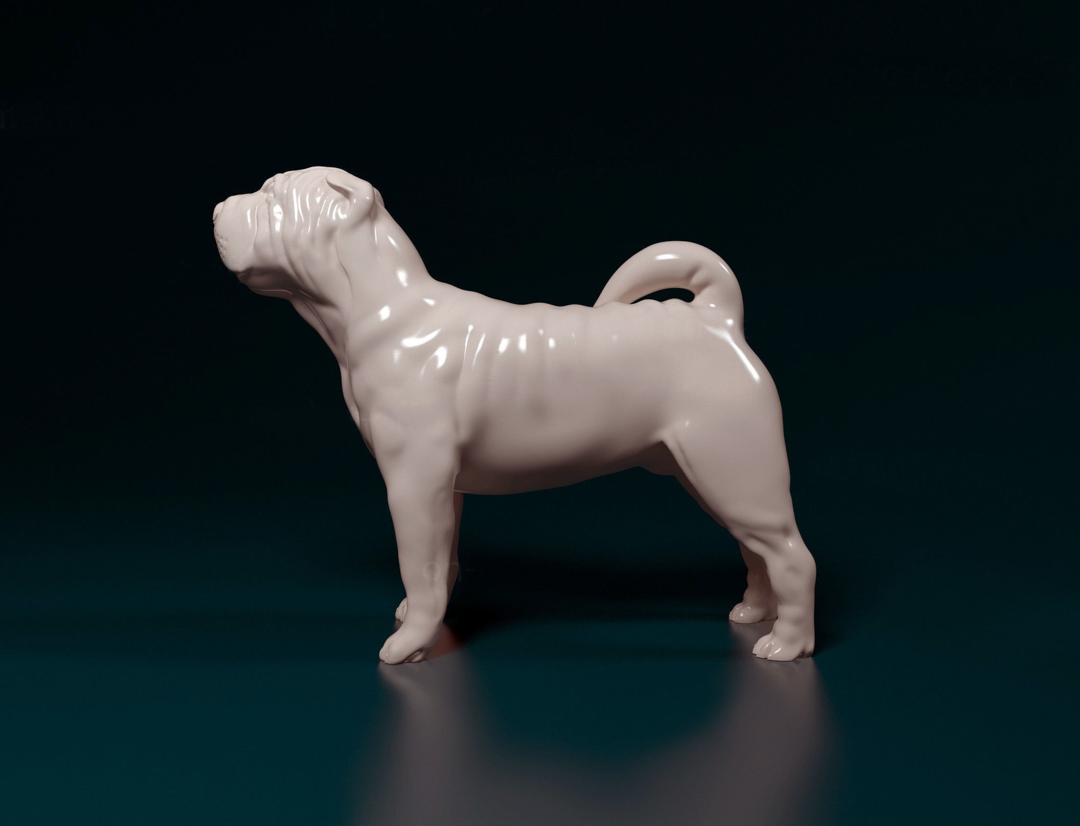 Shar pei dog 3D print model_3