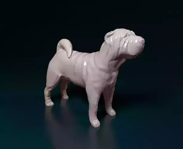Shar pei dog 3D print model