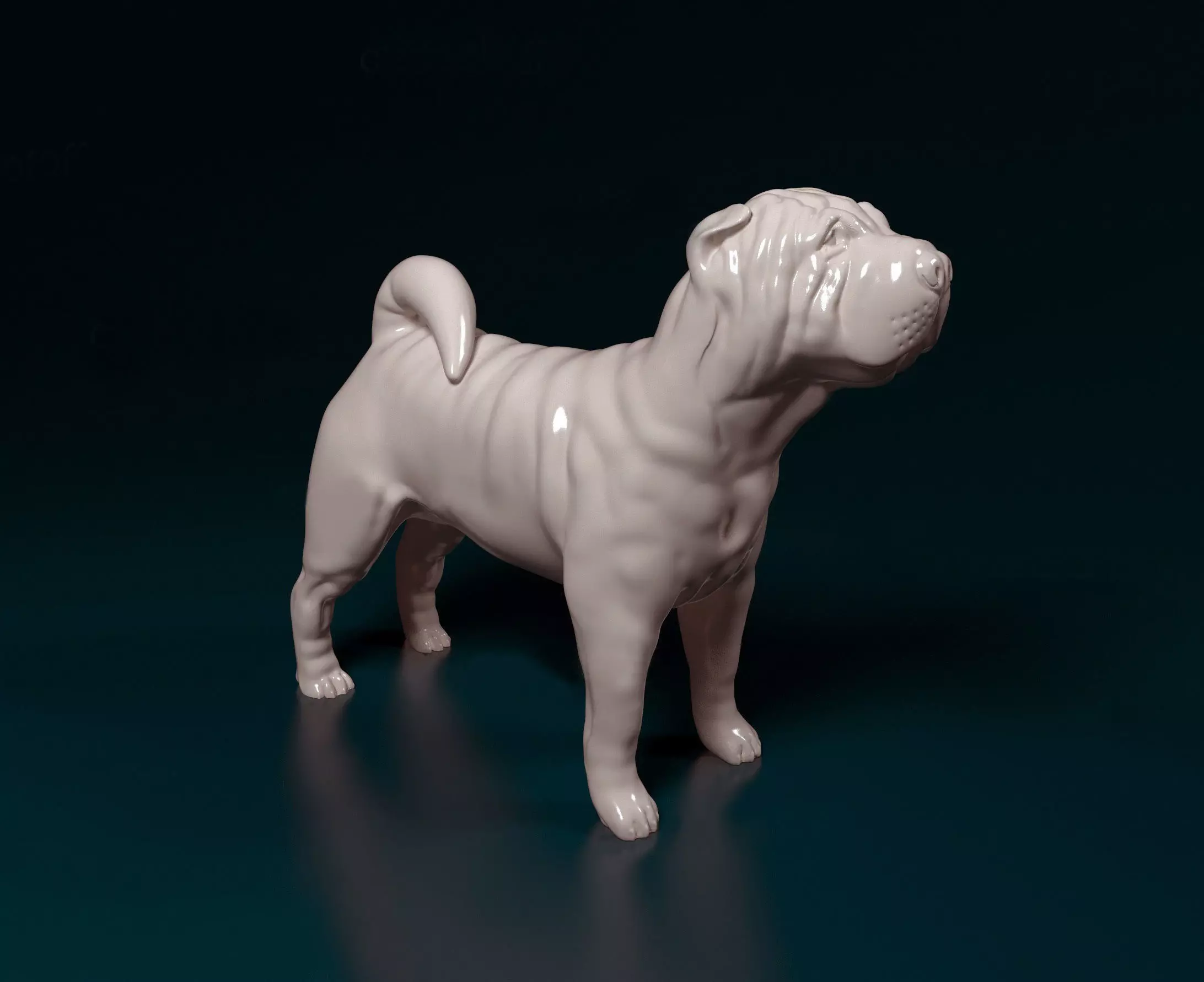 Shar pei dog 3D print model_0