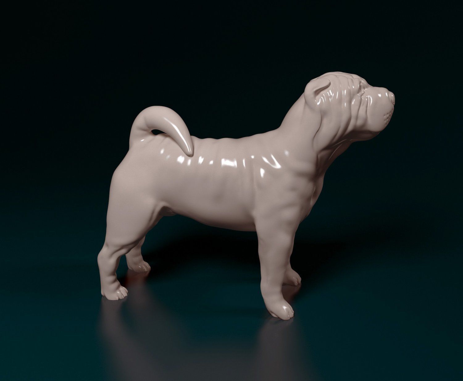 Shar pei dog 3D print model_6