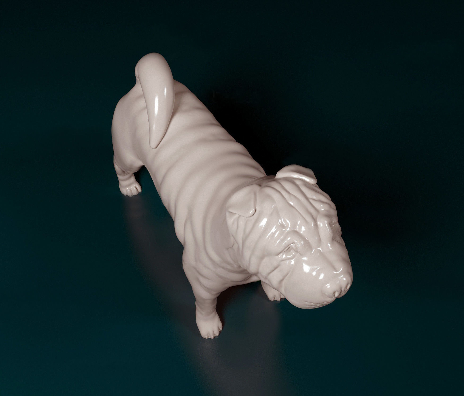 Shar pei dog 3D print model_5