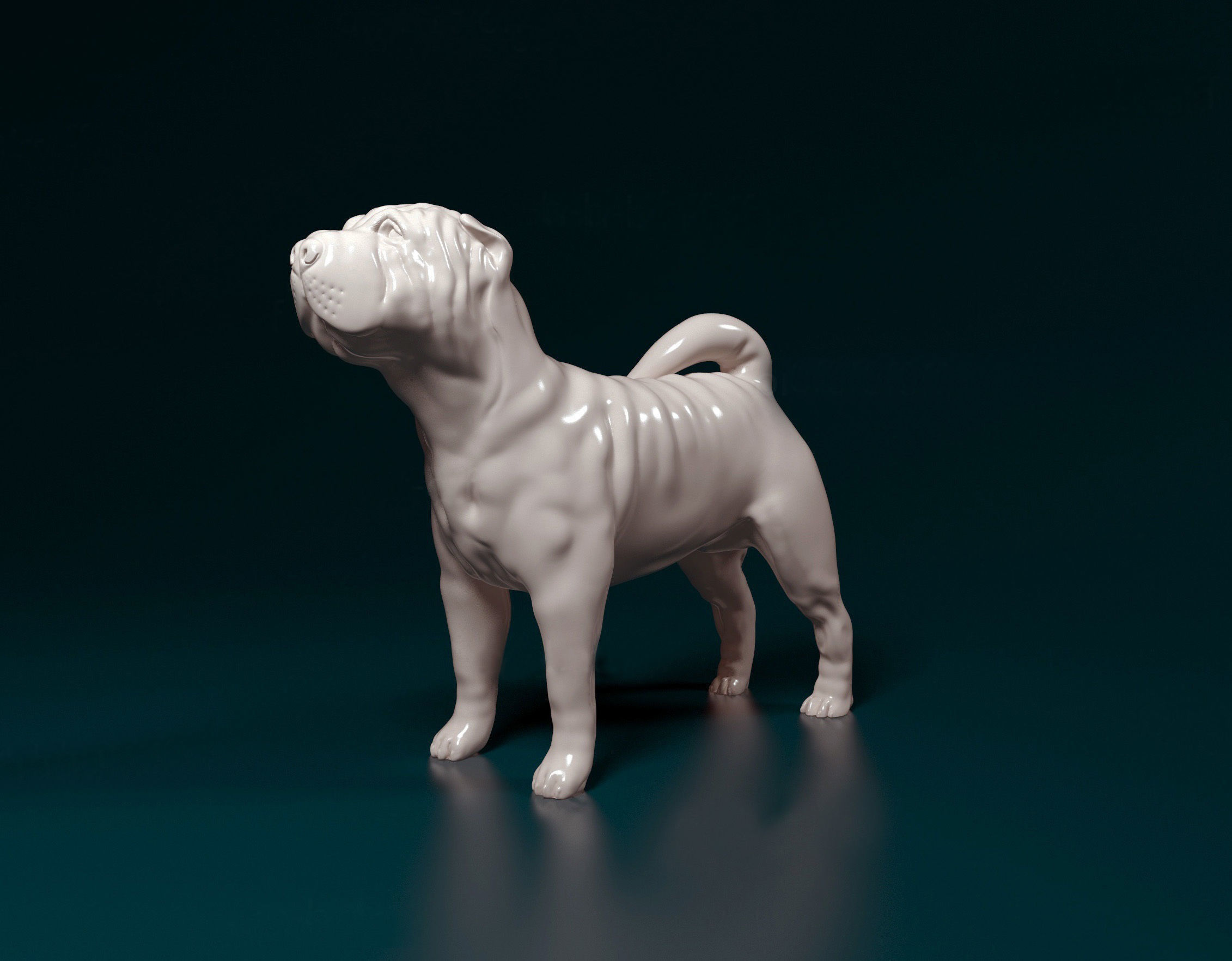 Shar pei dog 3D print model_4
