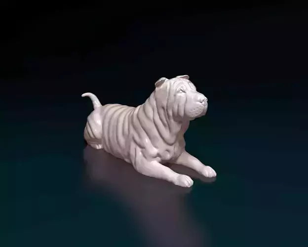 Shar pei  3D print model