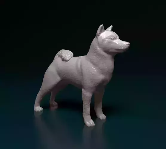 Shiba inu 3D print model