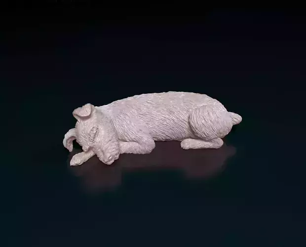 Sleeping Schnauzer 3D print model