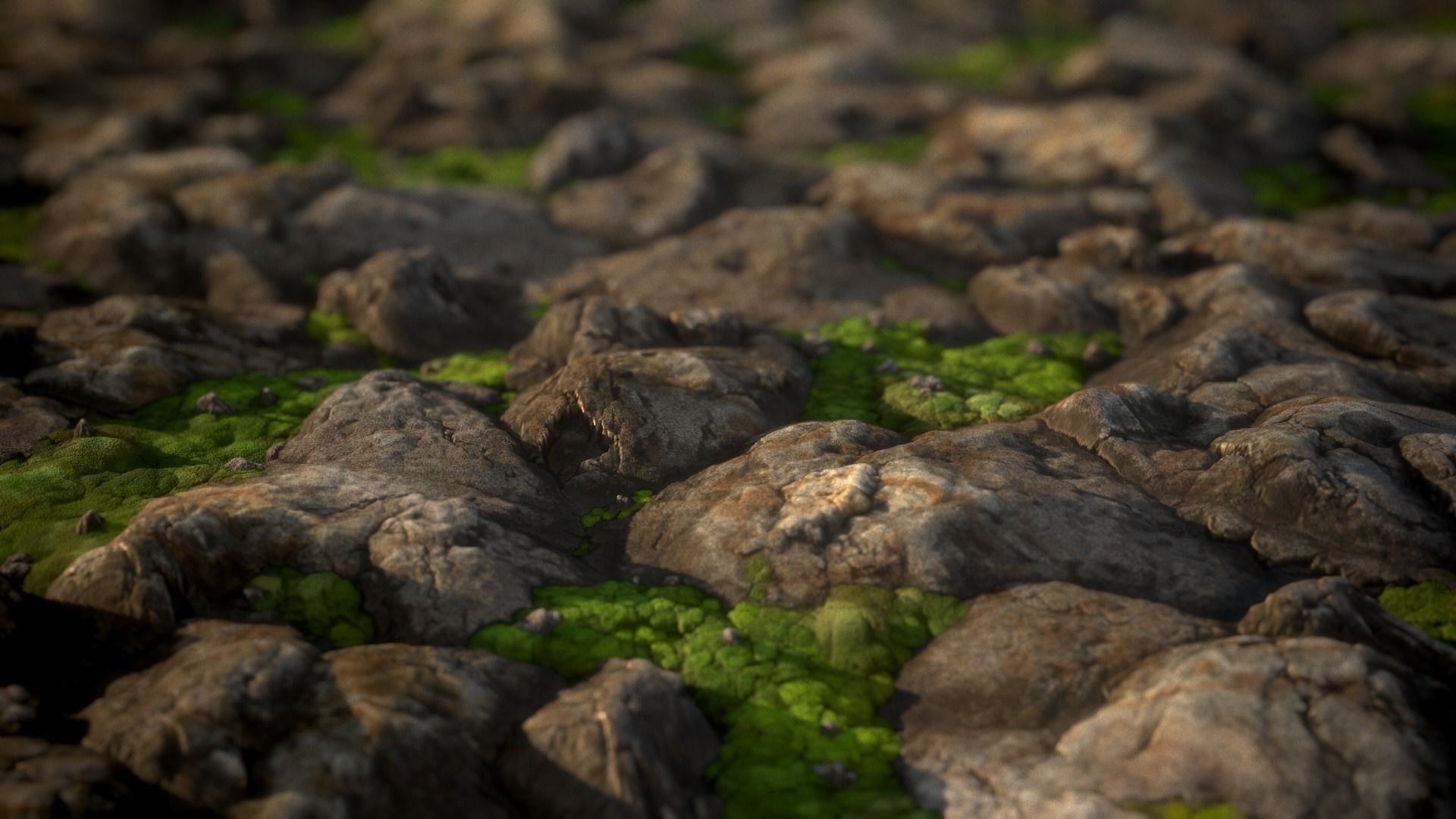  Stylized Mossy Rock Ground Texture Texture_1