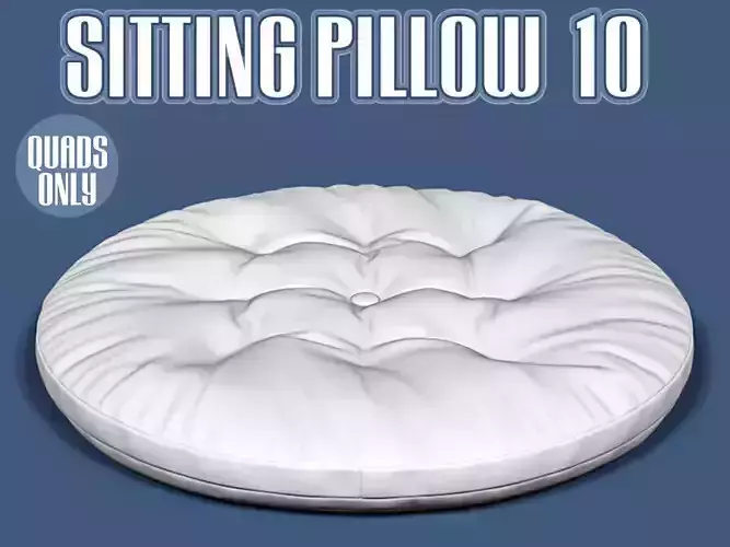 Sitting pillow 10