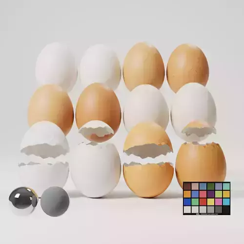 Eggs - 12 Variations 3D model