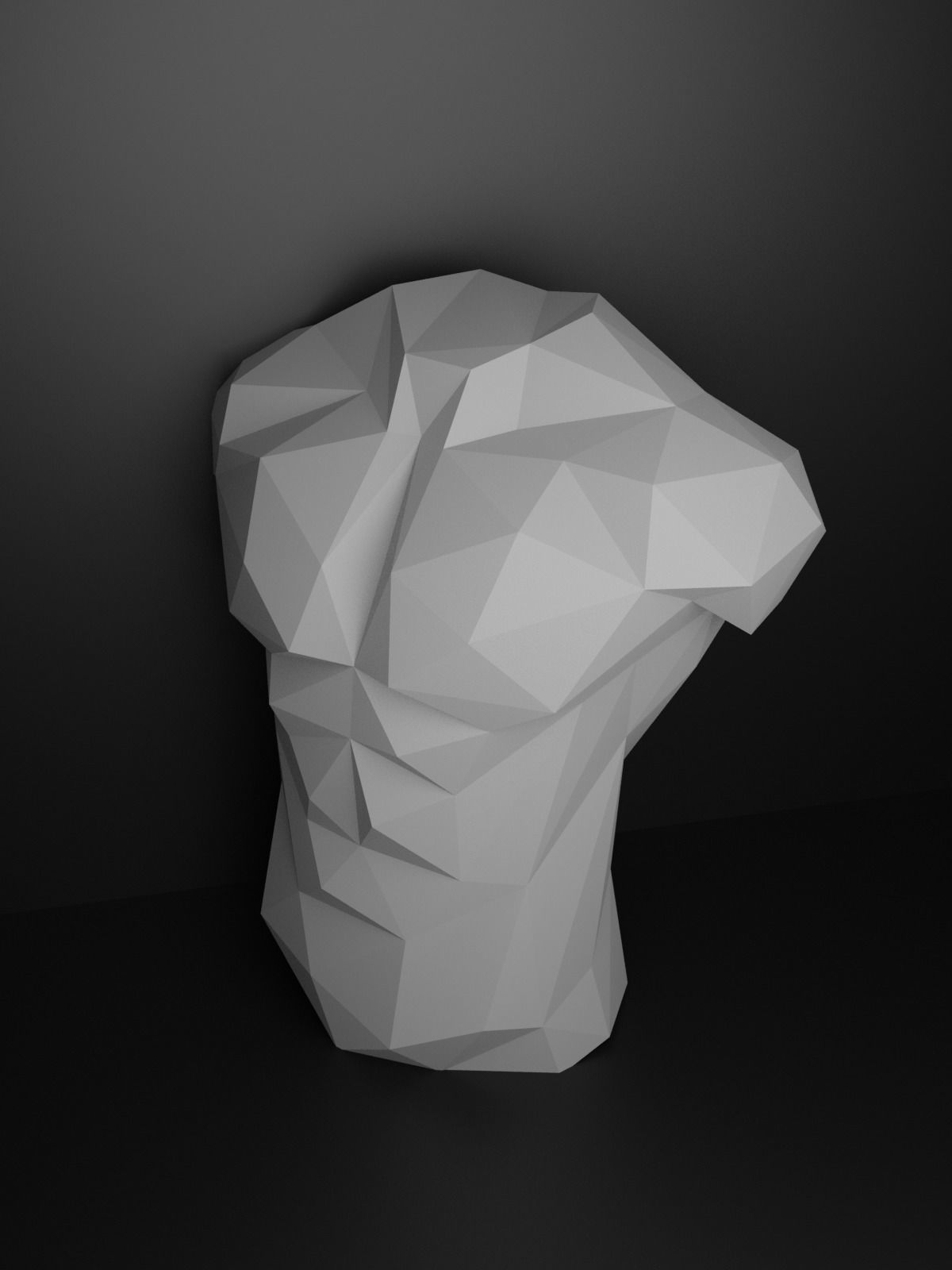 Low Poly Male Torso 3D print model_8