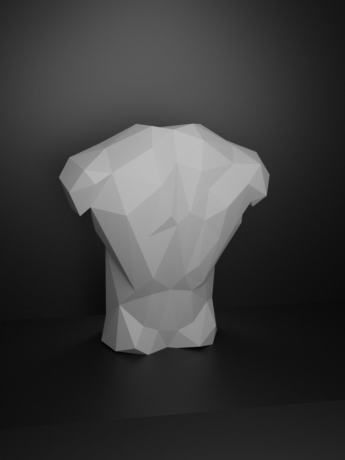 Low Poly Male Torso 3D print model_13