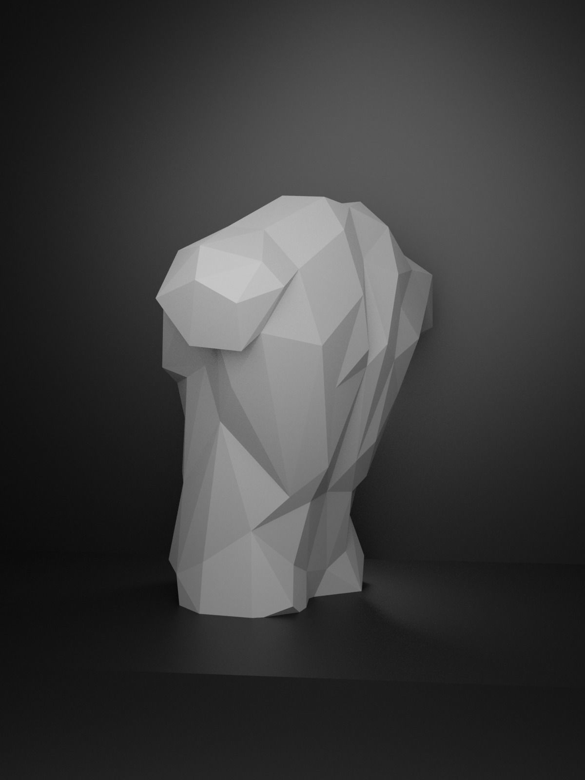 Low Poly Male Torso 3D print model_15