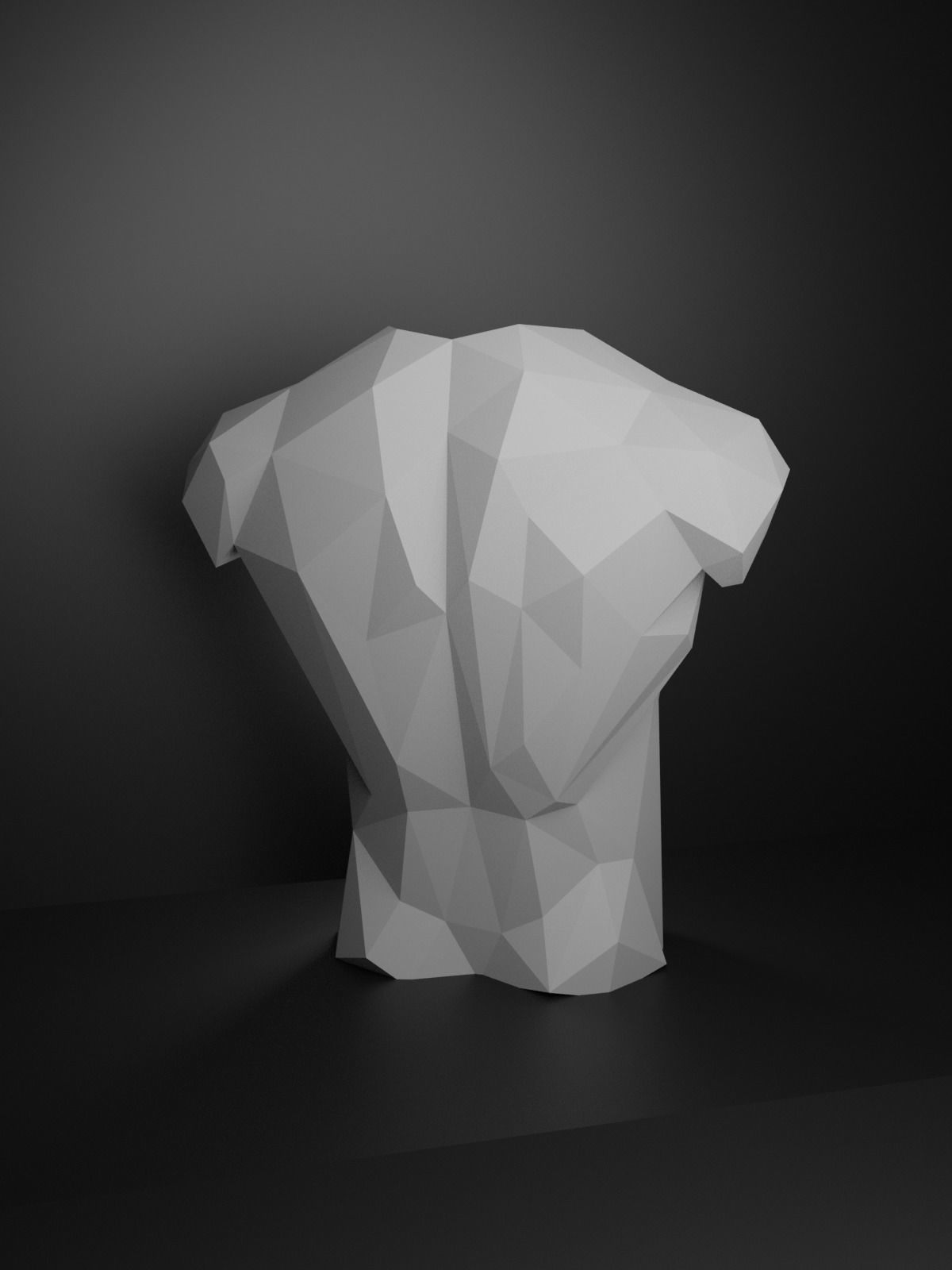 Low Poly Male Torso 3D print model_14