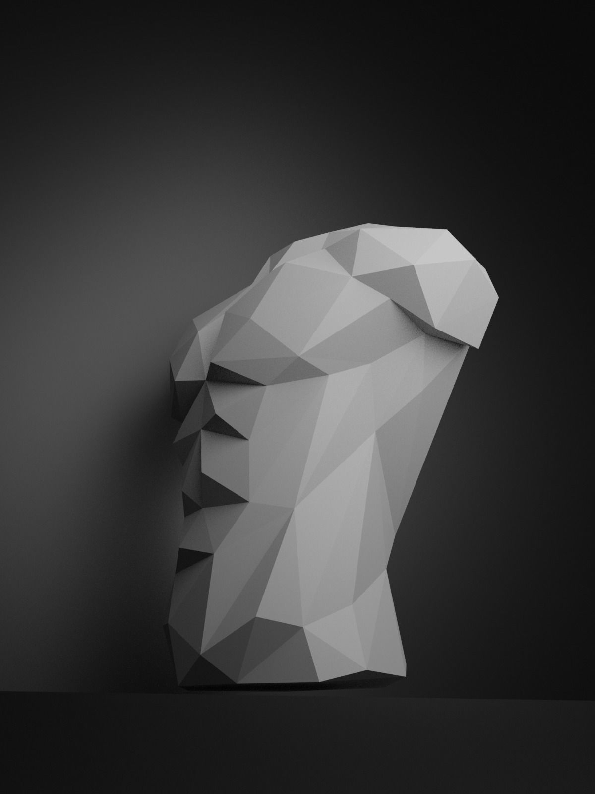 Low Poly Male Torso 3D print model_6