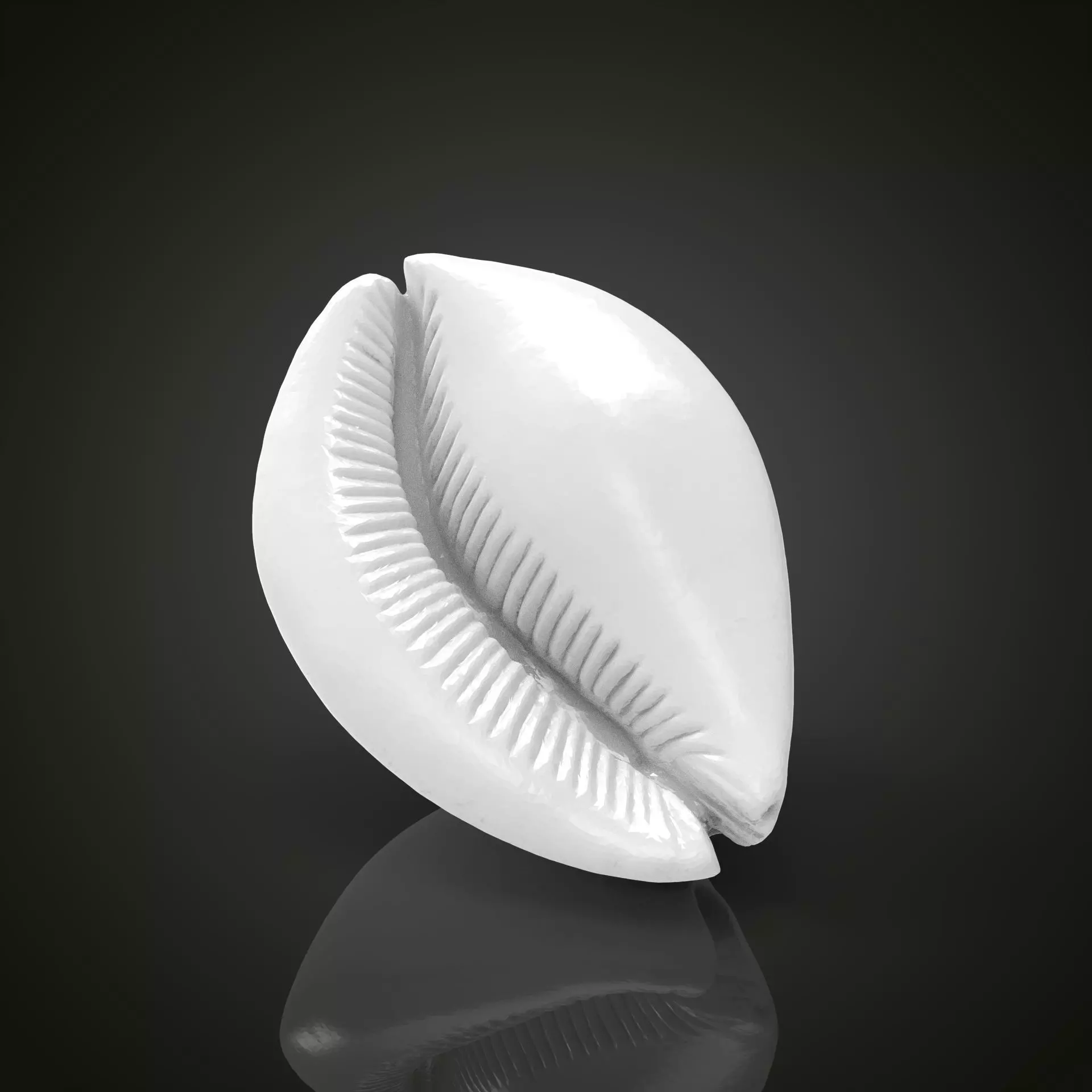 Shell 3D print model