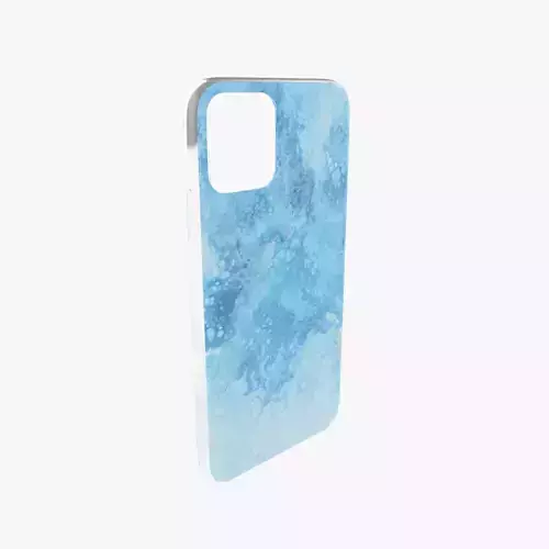 iPhone 12 Case 11