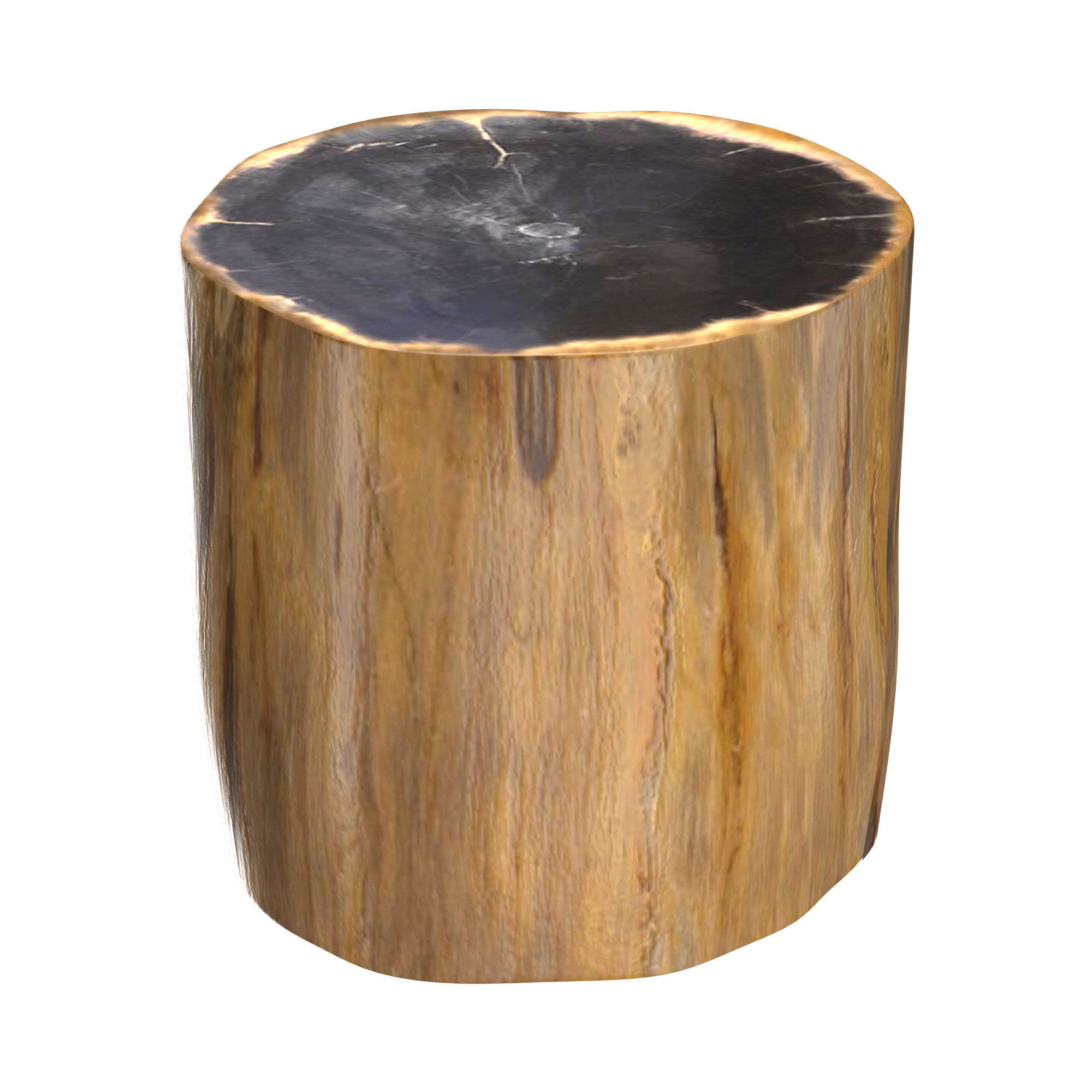 PETRIFIED WOOD SIDE TABLE 7233F 3D model_3