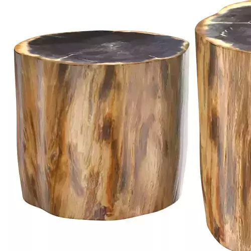 PETRIFIED WOOD SIDE TABLE 7233F