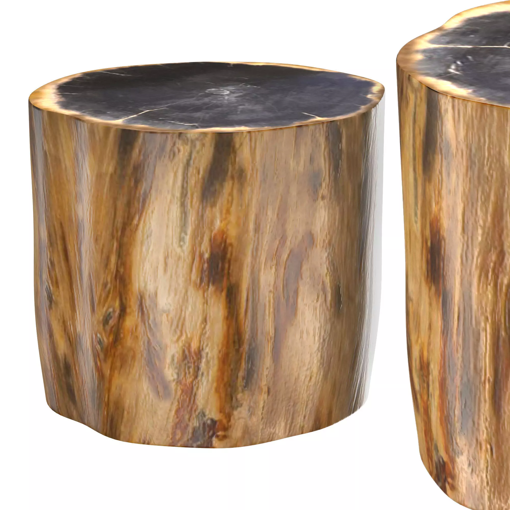 PETRIFIED WOOD SIDE TABLE 7233F 3D model_0