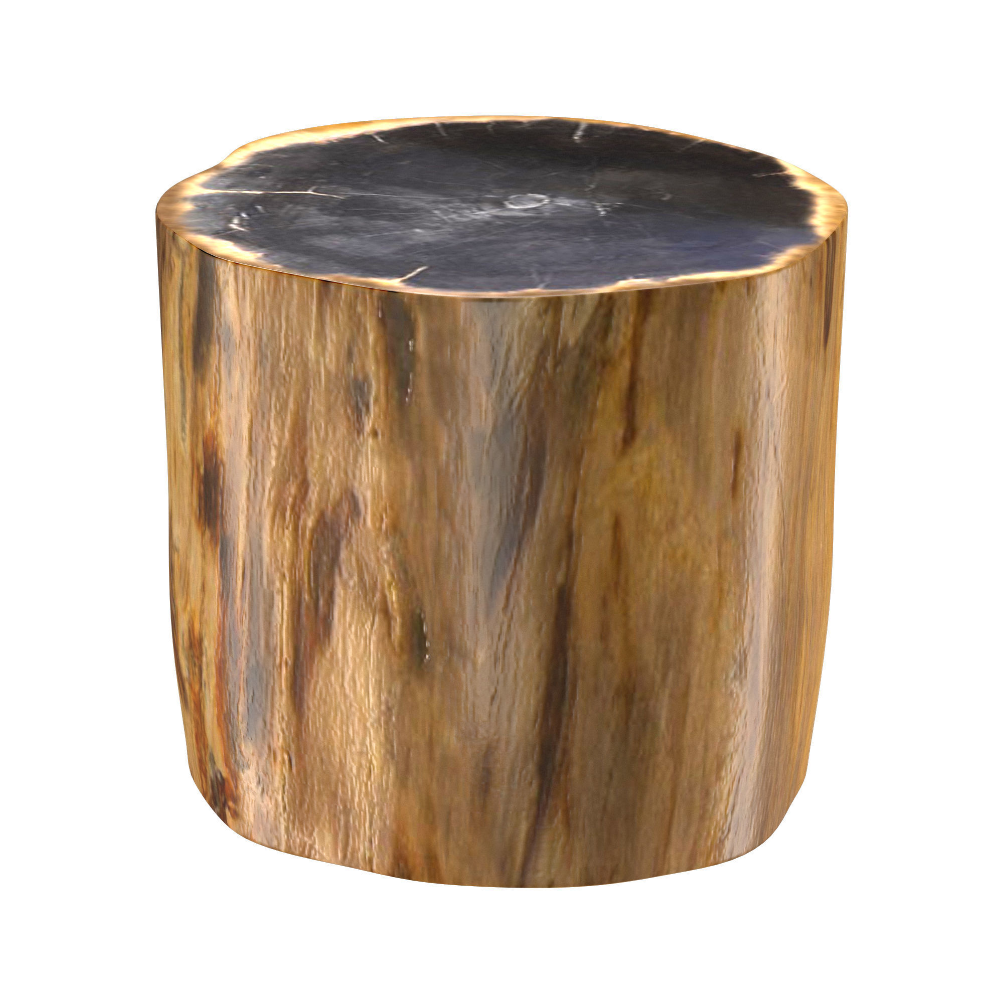 PETRIFIED WOOD SIDE TABLE 7233F 3D model_1