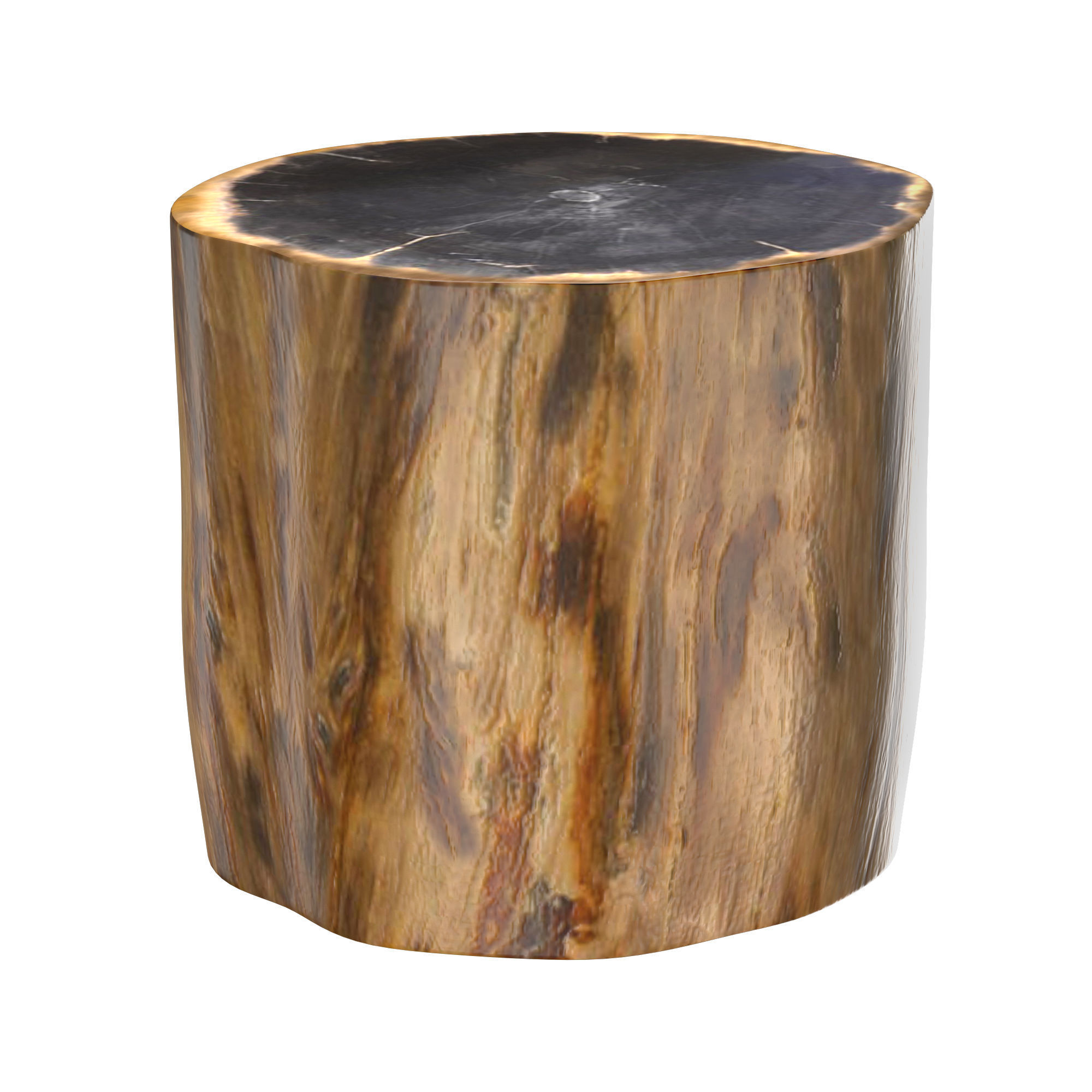 PETRIFIED WOOD SIDE TABLE 7233F 3D model_4