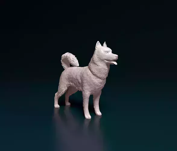 Siberian Husky  3D print model