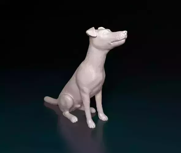 Smooth Fox terrier