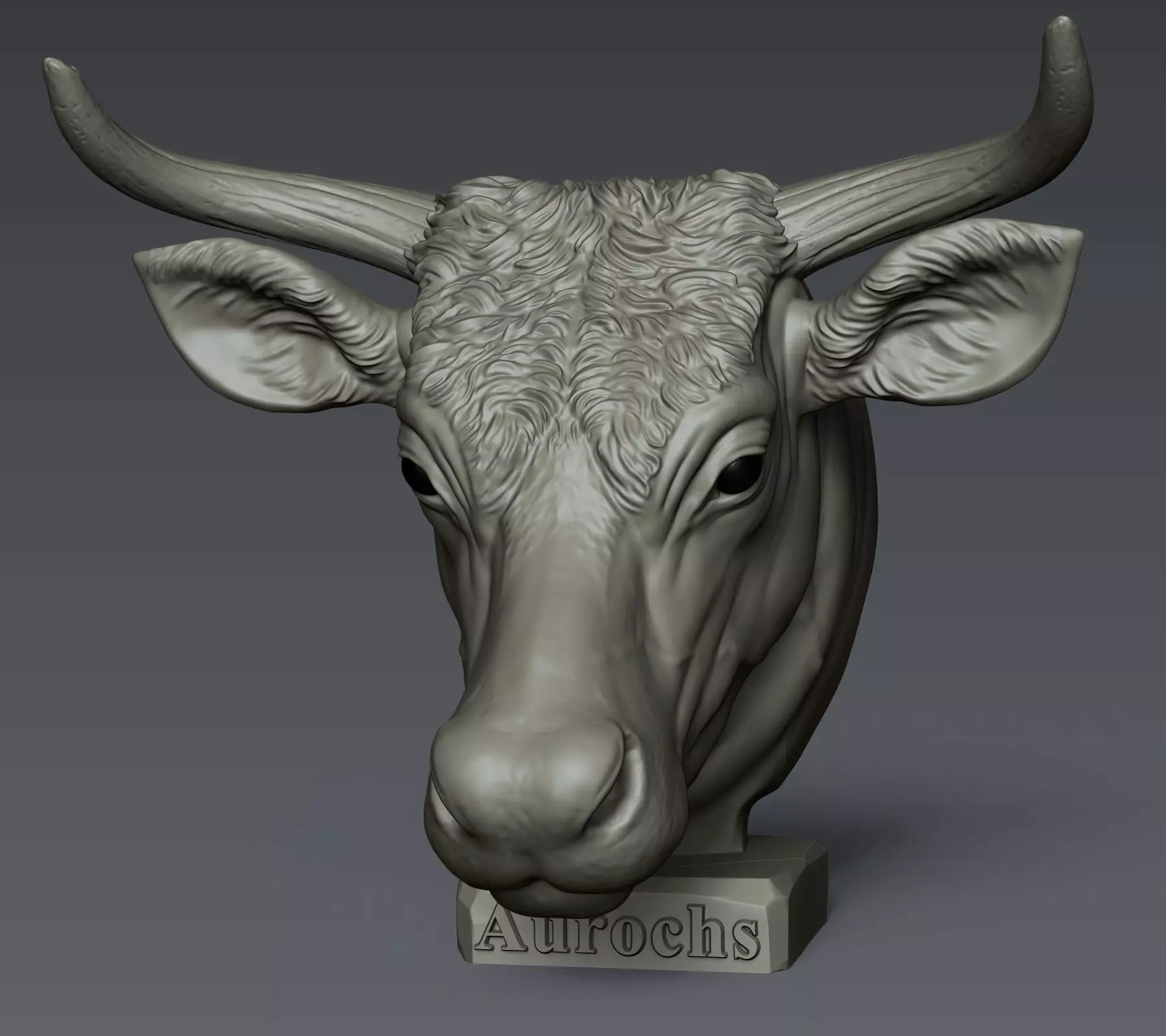 Aurochs Head 3D print model_0