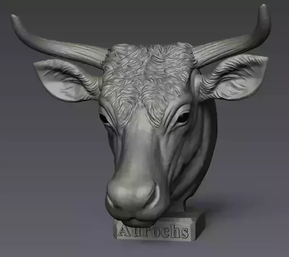 Aurochs Head