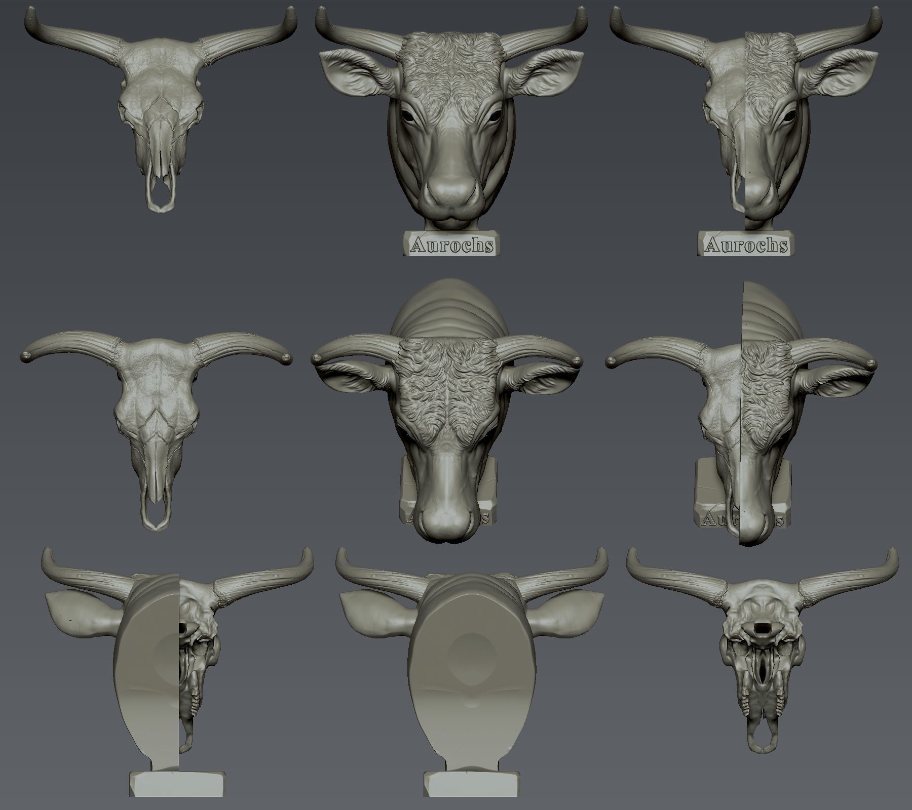 Aurochs Head 3D print model_4