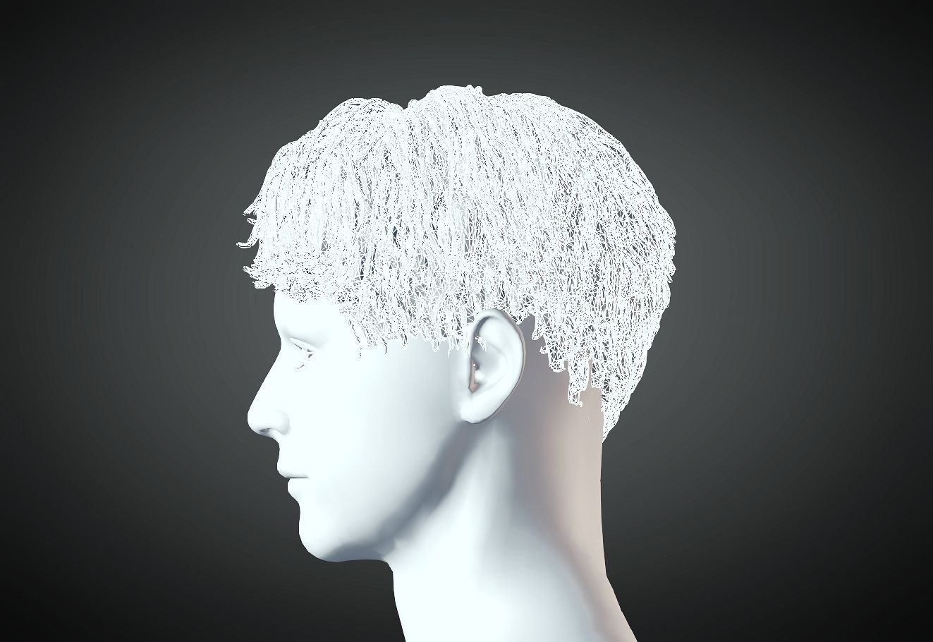 3D Hair style for Man 01 3D print model_3