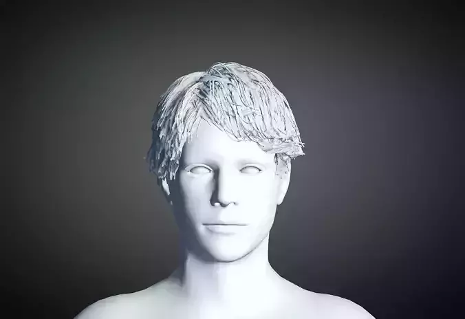 3D Hair style for Man 01
