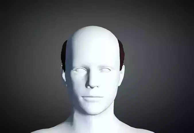 3D Hairstyle for man 02 3D print model