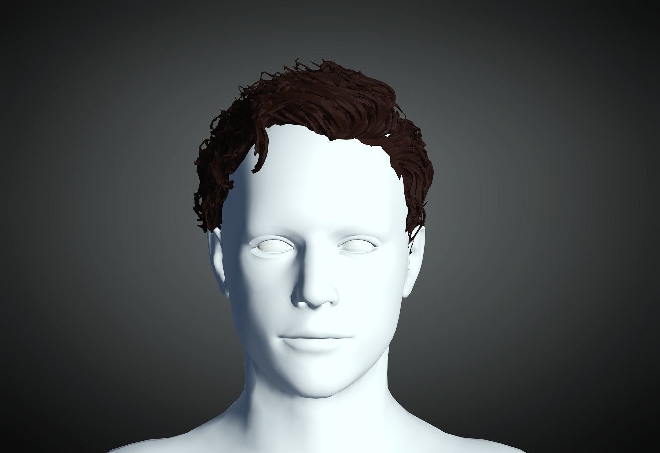 3D Hair style for Man 03 3D print model_1
