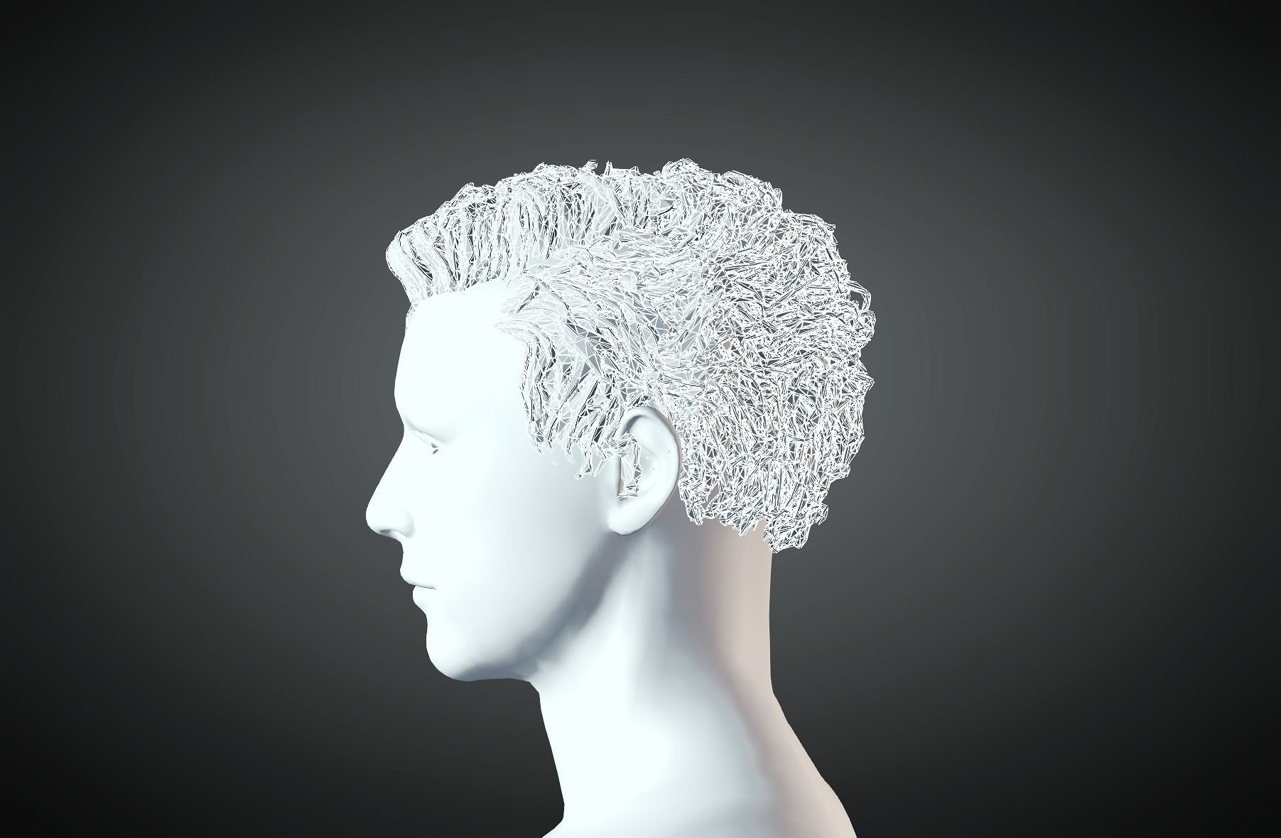 3D Hair style for Man 03 3D print model_4