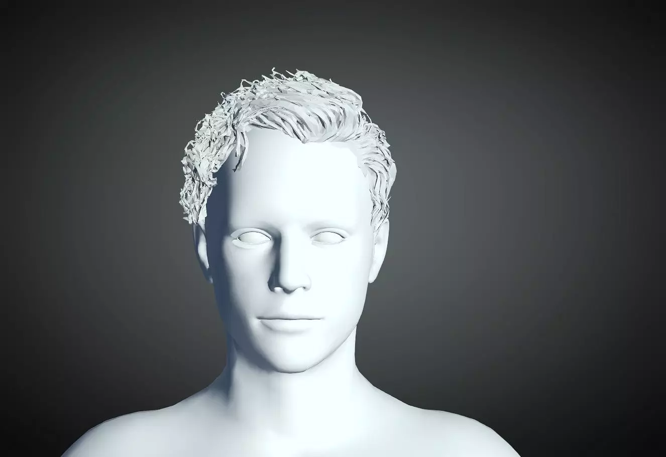 3D Hair style for Man 03 3D print model_0