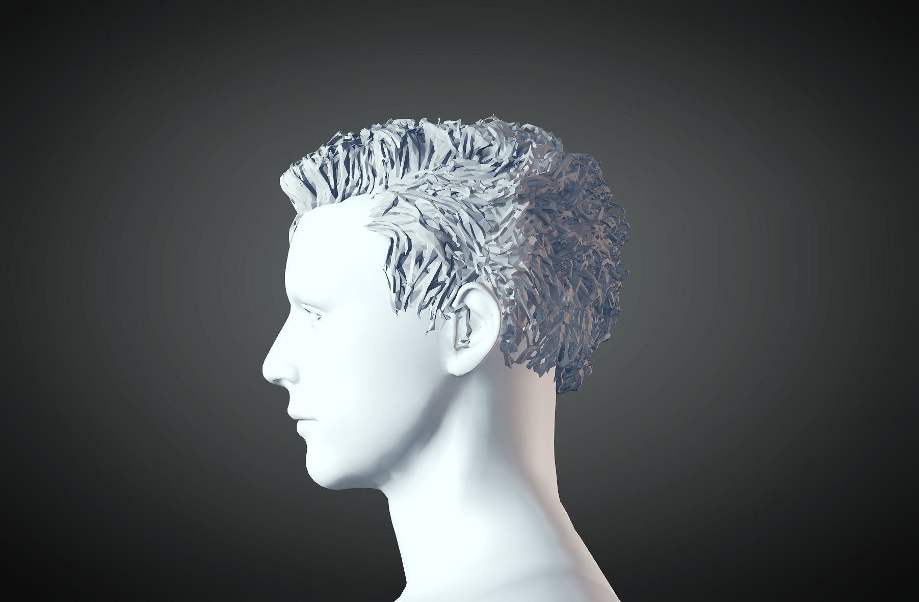 3D Hair style for Man 03 3D print model_3